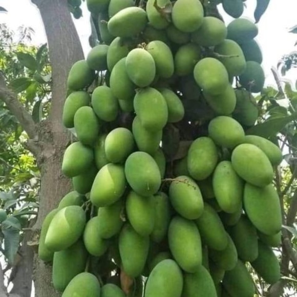 Meet your Posher, Alex - Picture 1 of 1